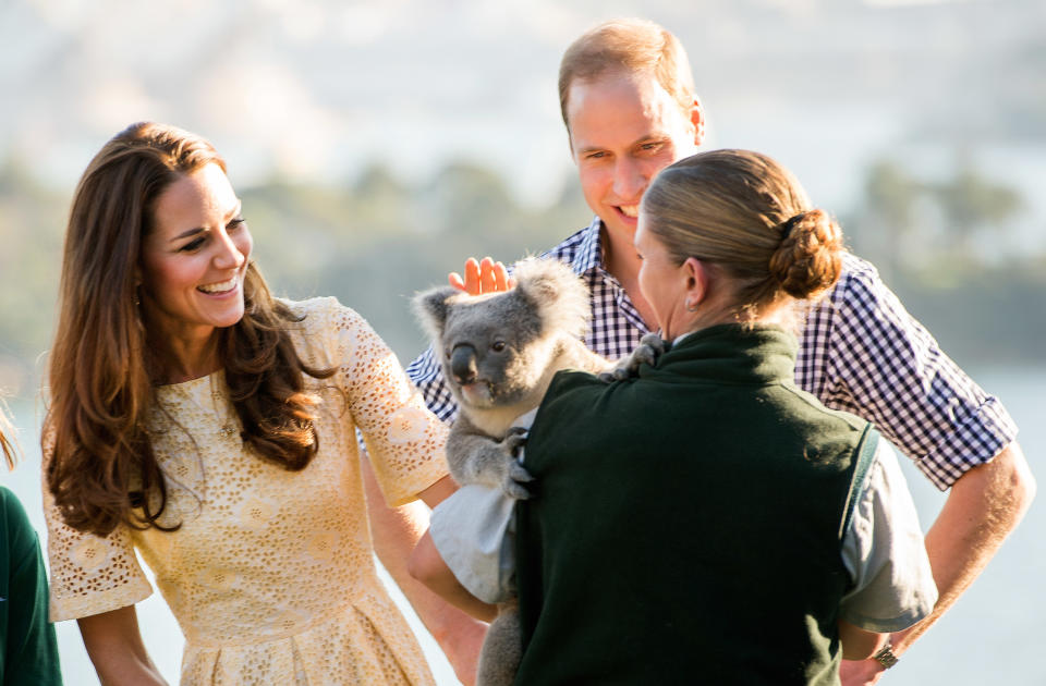 Kate Middleton and Prince William are pictured patting a koala at Taronga Zoo in 2014. Photo: Getty Images