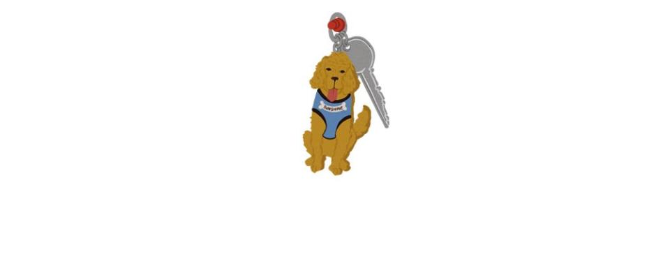 sunshine dog keys illustration