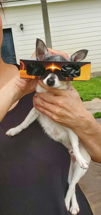 Stuart Little experiencing the April 8 eclipse in Dripping Springs, Texas (Courtesy: Catherine Howard)