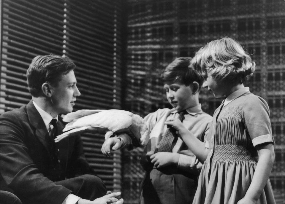 Prince Charles and Princess Anne meet naturalist David Attenborough at Lime Grove Studios on the 4th January, 1958. The young royals are introduced to a cockatoo captured on Attenborough's last Zoo Quest expedition. (Photo by Central Press/Getty Images)