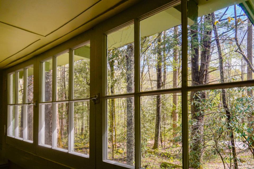 three sets of windows showing trees outside