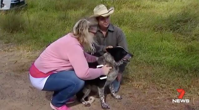 Aurora had spent the night alone with Max, her family's cattle dog. Source: 7News