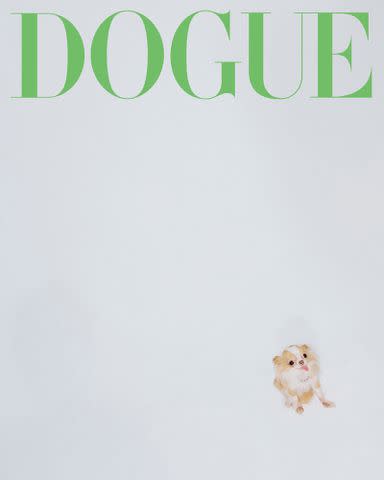 <p>Ryan Lowry</p> Demi Moore's dog Pilaf on the cover of DOGUE