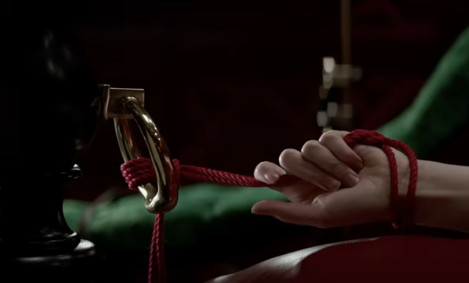 A closeup of someone's hands tied with rope  from "Fifty Shades of Grey"