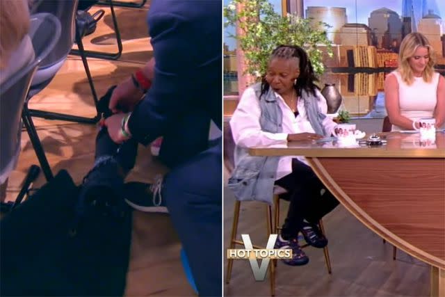 <p>ABC</p> Whoopi Goldberg greets a chihuahua in 'The View' audience
