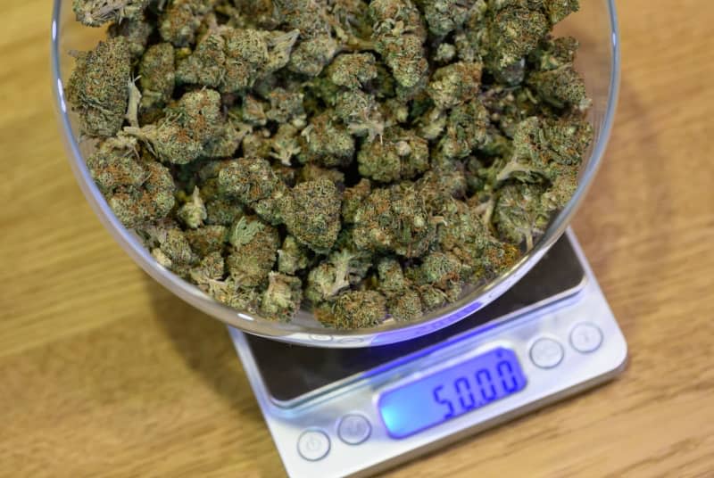 A bowl of 50 grams of cannabis flowers stands on a scale in the "Sanaleo" store for CBD products. Germany plans to legalize cannabis as of April after lengthy wrangling between the governing parties over the final details and health protections. Robert Michael/dpa