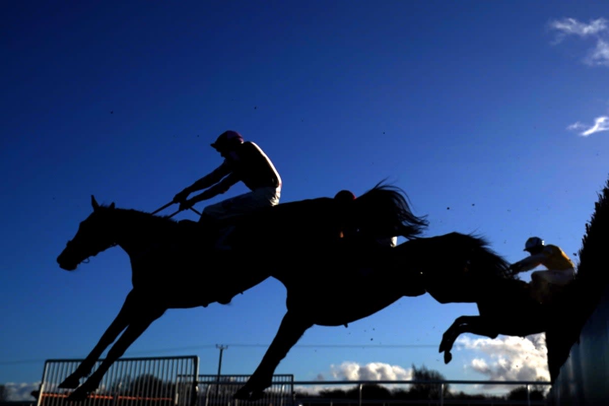 The racing season continues at Sandown Park (PA Archive)