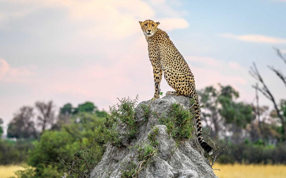 Playing Soccer in an African Village - Micato Luxury Africa Safaris