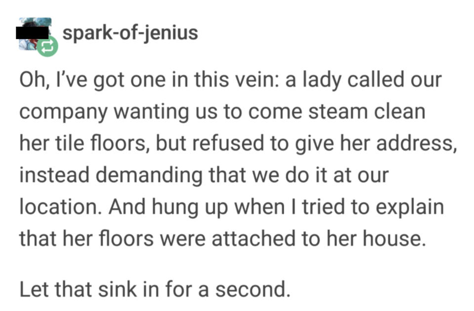 story about someone who doesn't understand they can't just get their tiles cleaned remotely