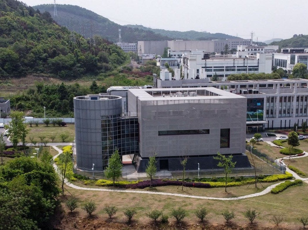 Wuhan Institute of Virology lab