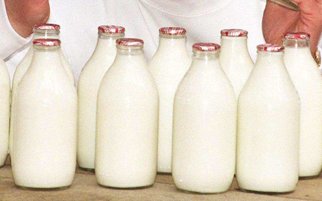 The Irish-based Go Vegan World pressure group tries to encourage people to become vegans and not drink milk - Michael Stephens / PA