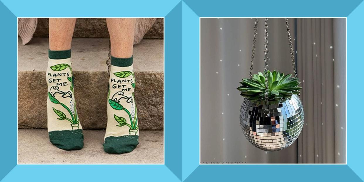 plants get me socks and disco ball hanging planter