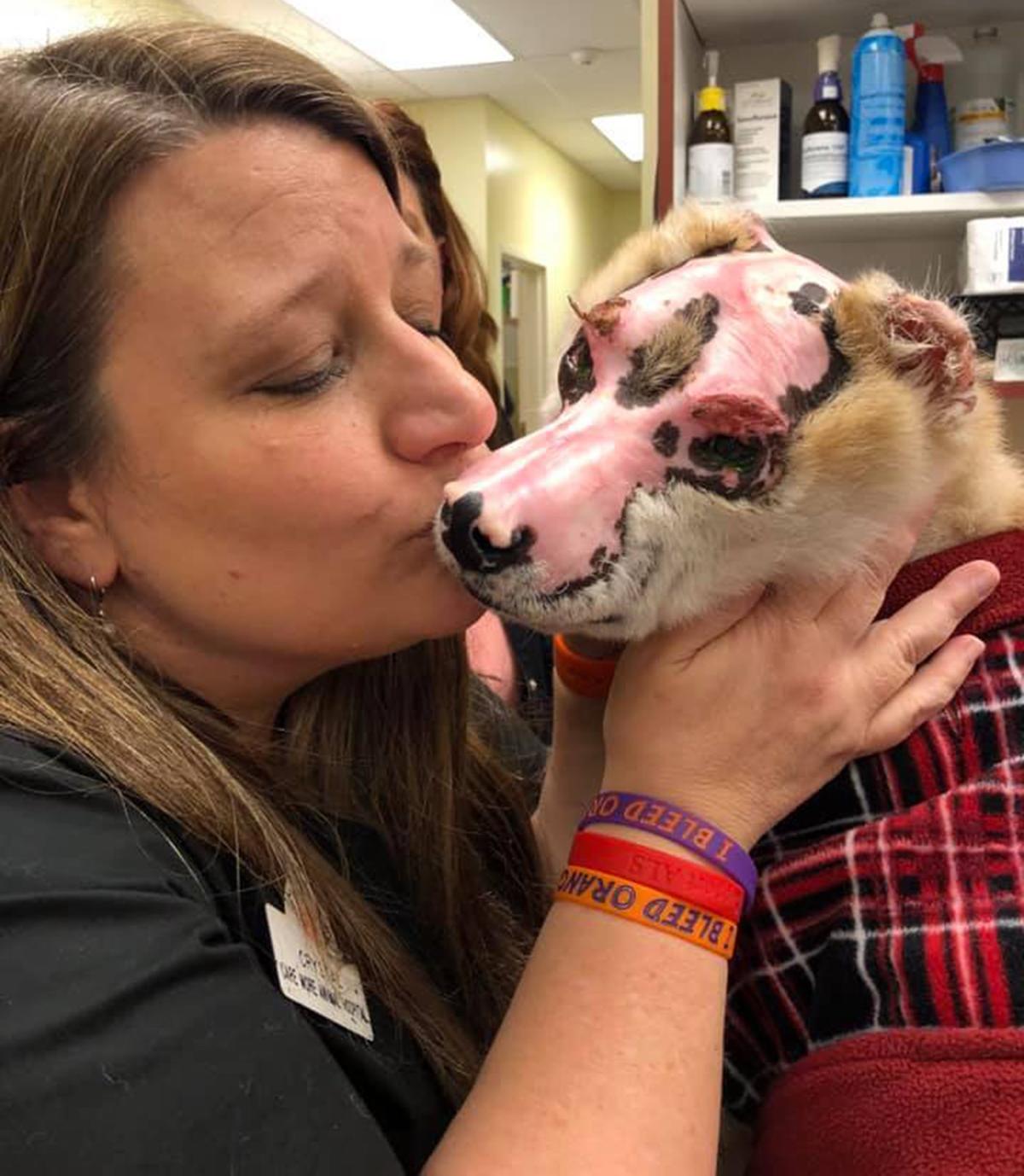 Dog Injured in Fire Is Dedicating His Life to Supporting and