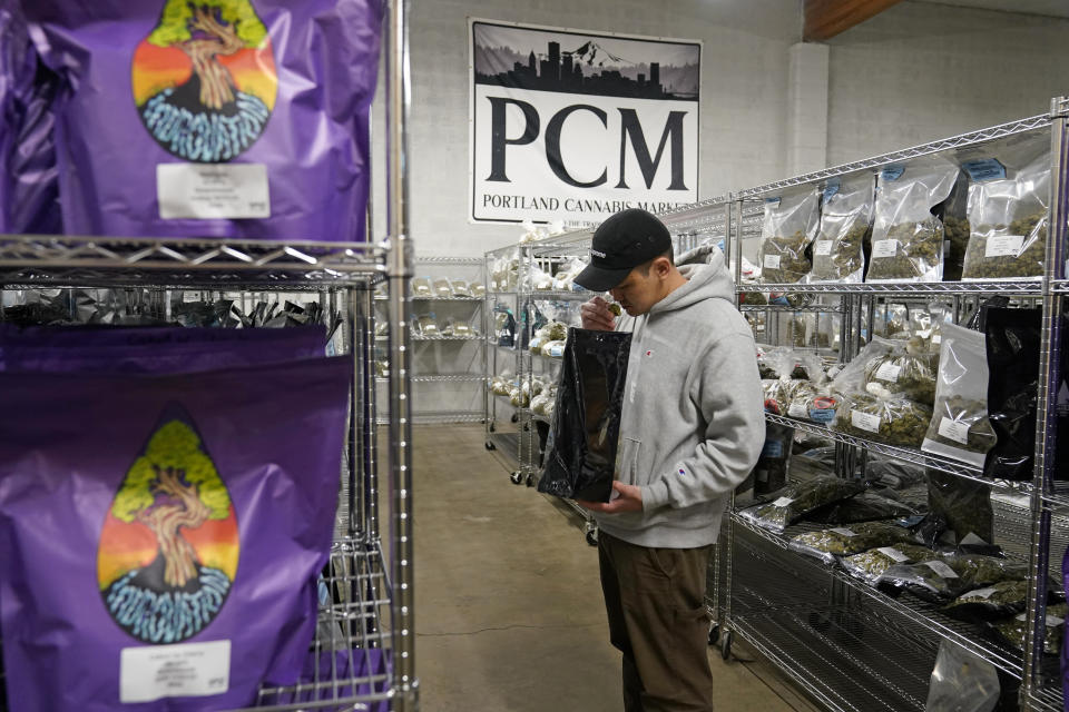 Chase Morimoto of Treasure Valley Cannabis Co. in Ontario, Ore., examines a bag of marijuana buds in the showroom of the Portland Cannabis Market in Portland, Ore., on March 31, 2023. Along the West Coast, which has dominated U.S. marijuana production from long before legalization, producers are struggling with what many call the failed economics of legal pot...a challenge inherent in regulating a product that remains illegal under federal law. (AP Photo/Eric Risberg)