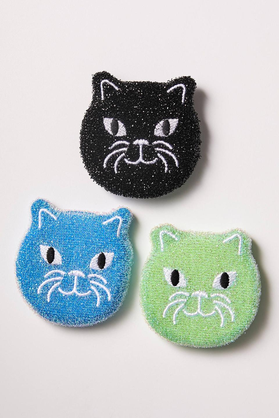 26) Cat Sponge Set