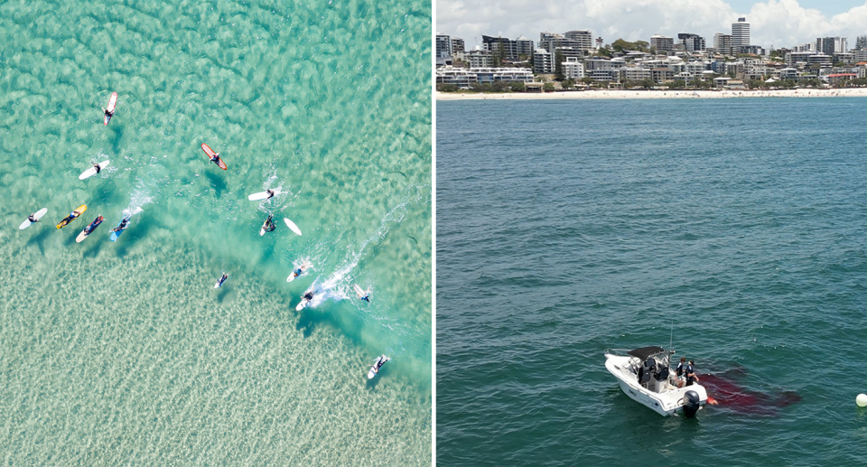 Left - An aerial shot of surfers in shallow water. Right - a boat on the Sunshine Coast with blood trailing from it.