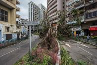 <p>A fallen tree after the passage of Typhoon Hato in Macau, China, 23 Aug. 23, 2017. (Photo: Antonio Mil-Homens/EPA/REX/Shutterstock) </p>