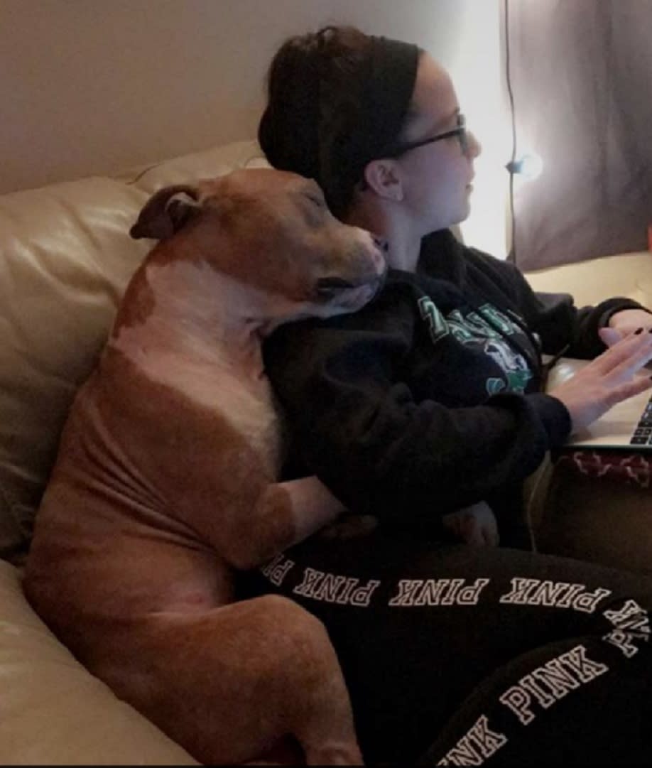 This rescue dog hugging its new human is the most heartbreaking and wonderful thing you’ve ever seen