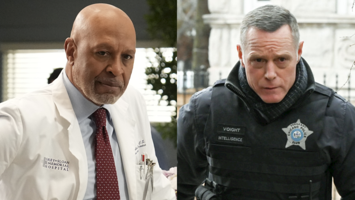  James Pickens Jr. as Richard Webber in Grey's Anatomy and Jason Beghe as Hank Voight in Chicago P.D. . 