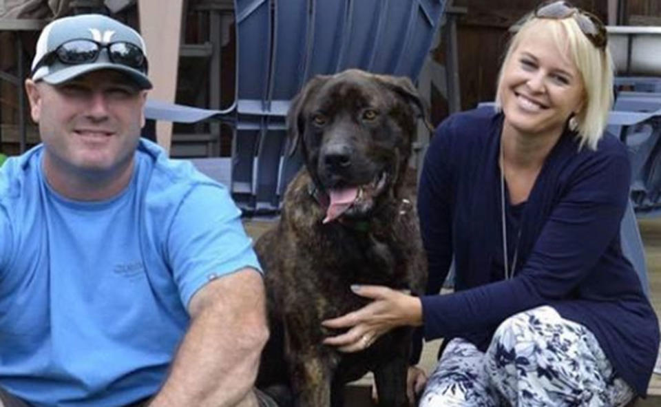 Champ, a one-year-old Mastiff mix, was found malnourished covered in maggots and worms tied to a tree at a home in South Carolina in August. The home owner, Elizabeth James, was left with the dog by her ex-boyfriend. Source: Rescue Dogs Rock NYC