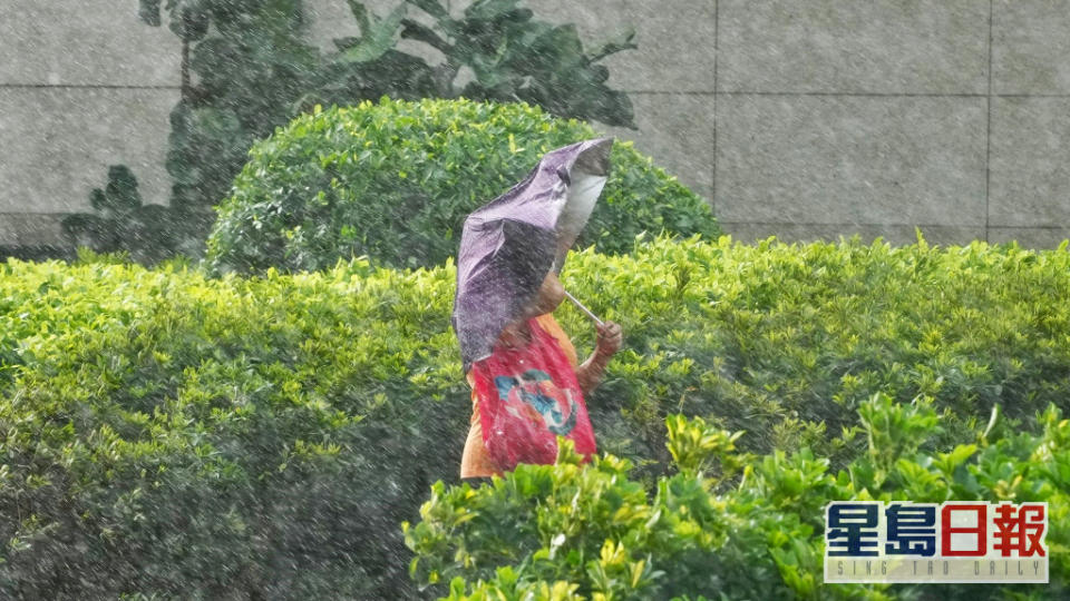 天文台預料，未來一兩日南海北部及廣東沿岸有狂風大驟雨及雷暴，風勢頗大。