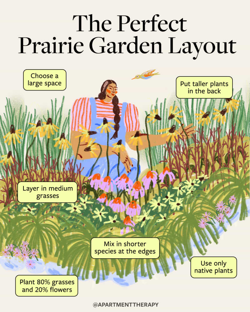 annotated illustration of a prairie garden