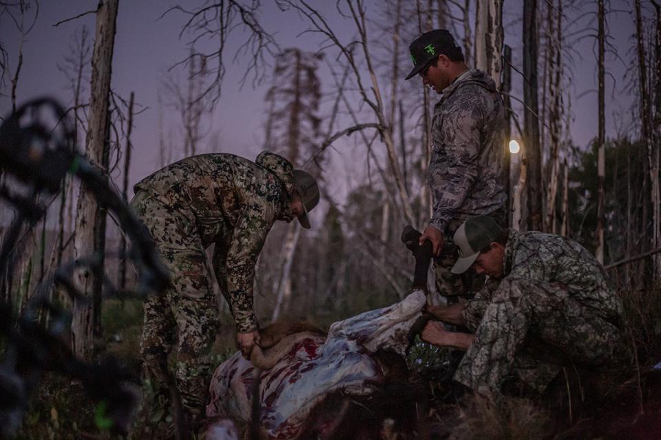 elk hunting