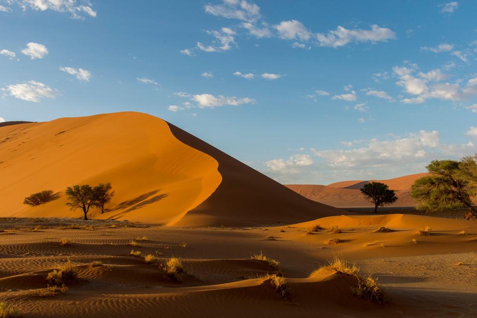 A pink sand dune in the Sossusvlei area, Namib-Naukluft National Park in Namibia