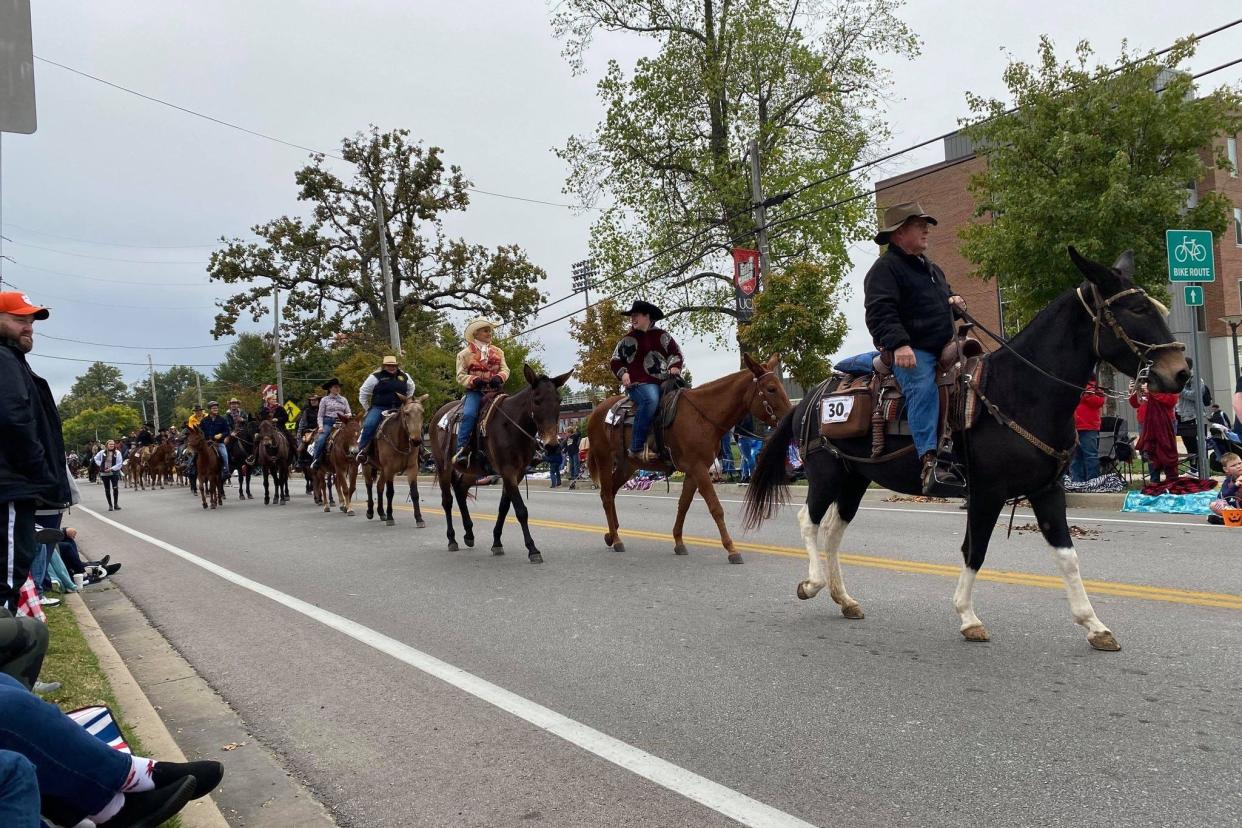 Riders ride mules during University of Central Missouri's homecoming parade in October.