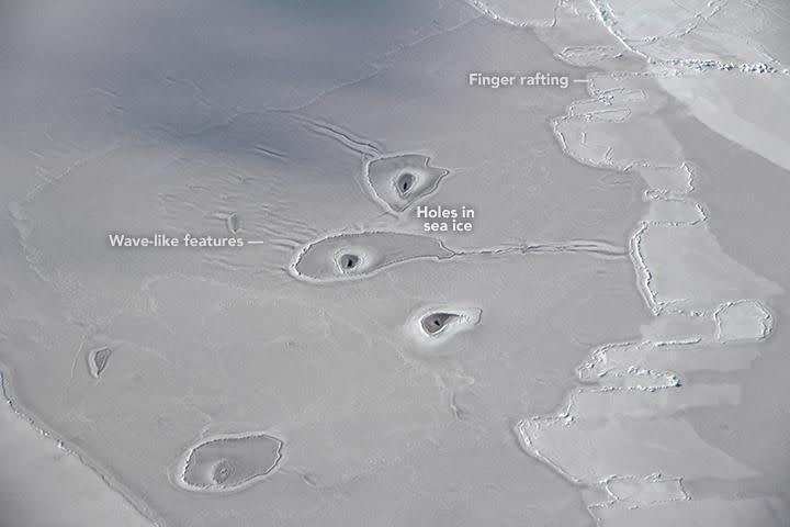 Strange circles captured at the North Pole have NASA scientists stumped. Source: NASA