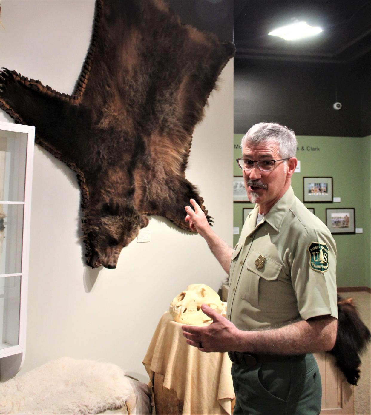 Lewis and Clark Interpretive Center Director Duane Buchi points out a Grizzly Bear pelt recently acquired for display from Montana Fish, Wildlife and Parks.