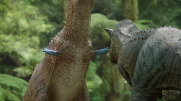 Les carnotaures mâles (carnivores de la famille des théropodes)  réalisaient de surprenantes parades nuptiales. (Photo: Prehistoric Planet/AppleTV)