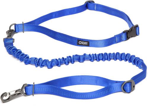 Stunt Puppy Stunt Runner Dog Leash