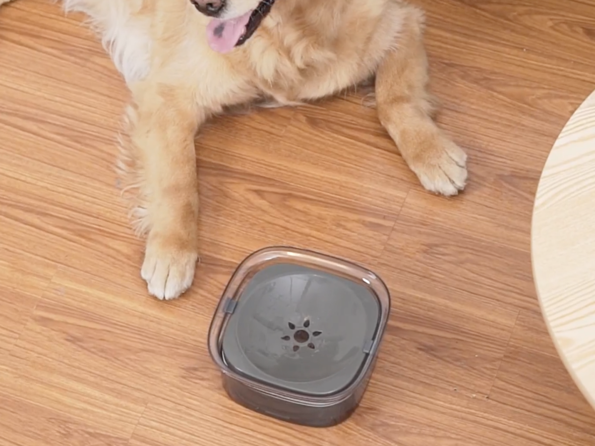 This No-spill Water Bowl Reduces Mess & Helps Slow Down Dogs Who