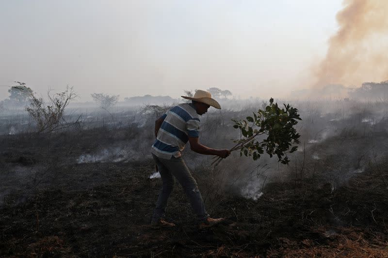 FILE PHOTO: In Brazil, it's not just the Amazon that's burning. The world's largest wetland is on fire too