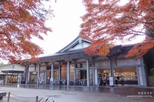 【右上就愛日本旅遊】【日本東北-岩手】東北賞楓疾行（D8-3）中尊寺金色