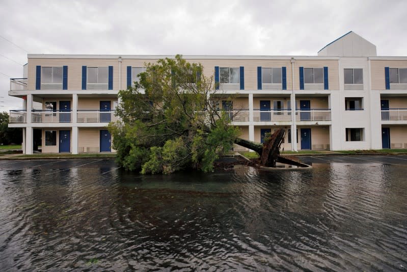 FILE PHOTO: A fallen tree and flood waters sit in a hotel parking lot after Hurricane Dorian swept through, in Wilmington, North Carolina