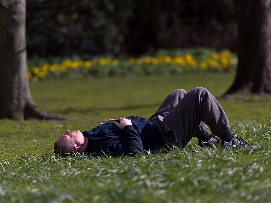 sunbathing sleep sleeping man park dozing nap