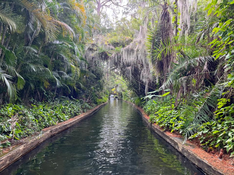 lots of tropical vegetation on either side of a canal in a lake in winter park Florida