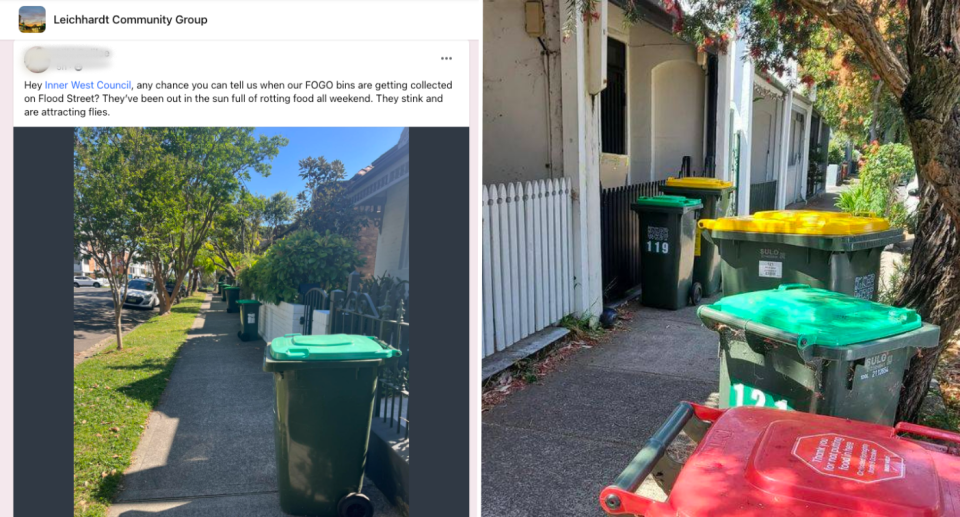 Photos of garbage bins on the streets of Sydney's inner west.