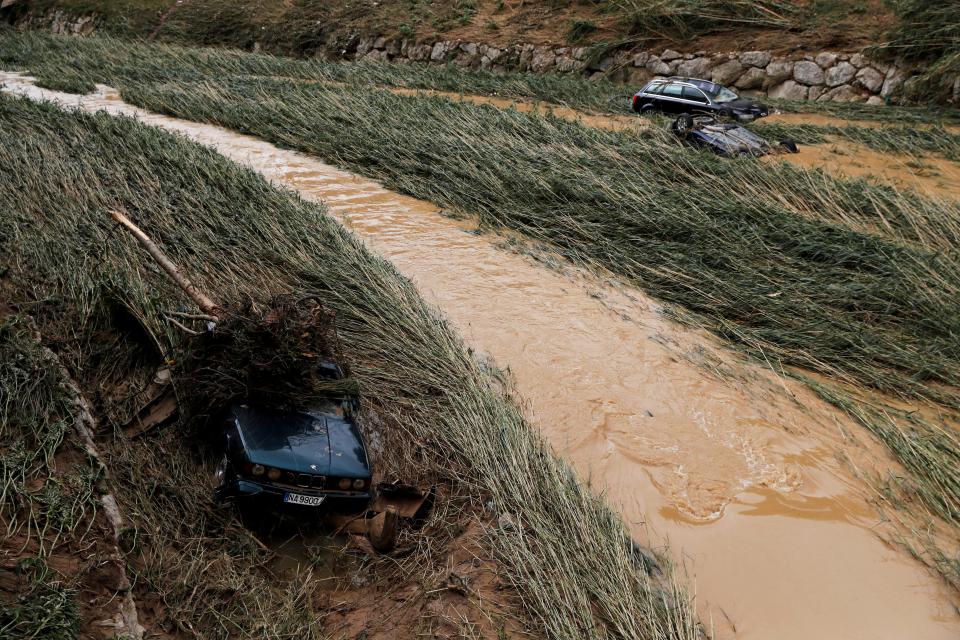 reuters environmental photos of the year 2019