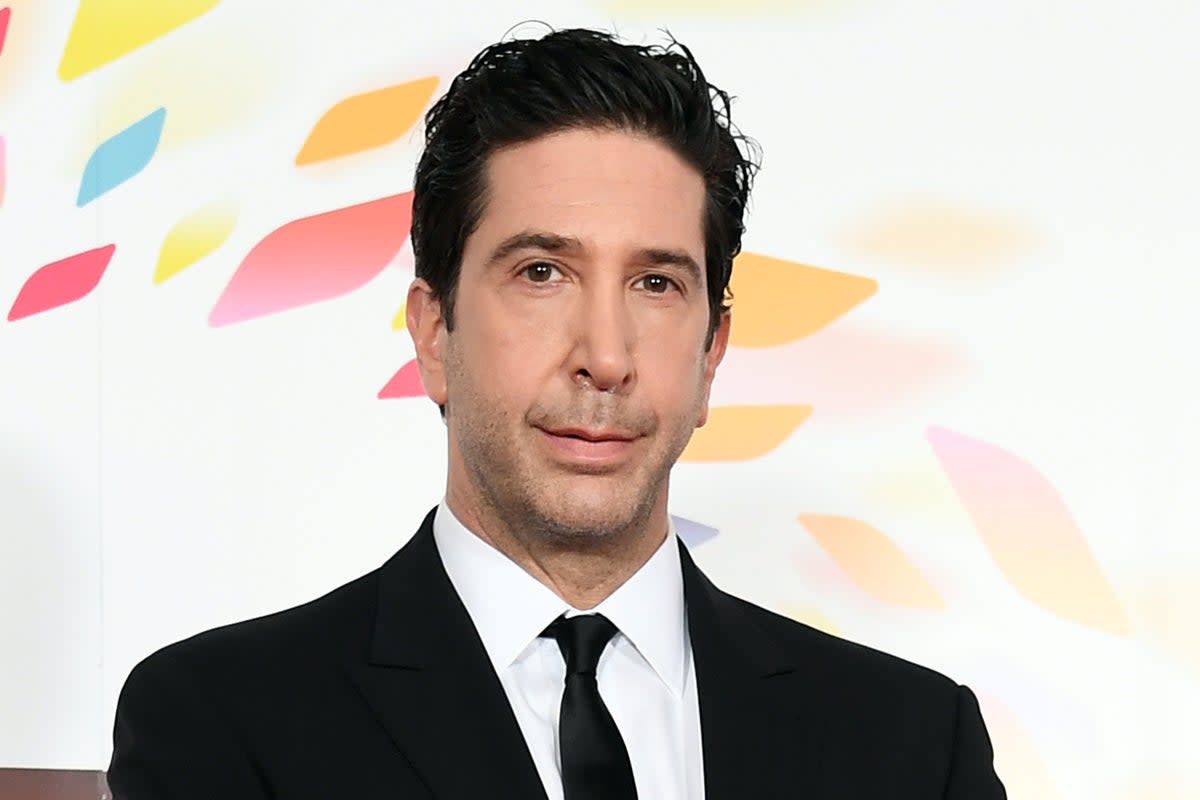 David Schwimmer explained the reason why he chose to sign up to GBBO’s celebrity edition  (Getty Images)