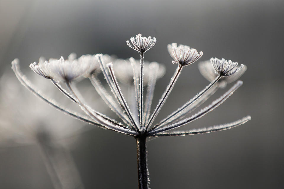 Freezing temperatures hit Northwich, England