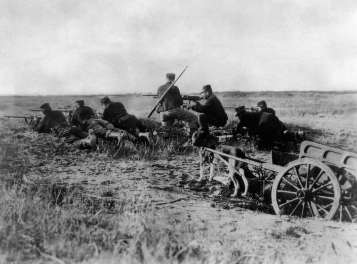 FILE - A Belgian machine gun detachment aims near Haelen, with a dog pulling a cart in August 1914. The Belgians used dogs to draw these guns and ammunitions. They were messengers, spies, sentinels and the heavy haulers of World War I, carrying supplies, munitions and food and leading cavalry charges. The horses, mules, dogs and pigeons were a vital part of the Allied war machine, saving countless lives _ and dying by the millions. (AP Photo, File)