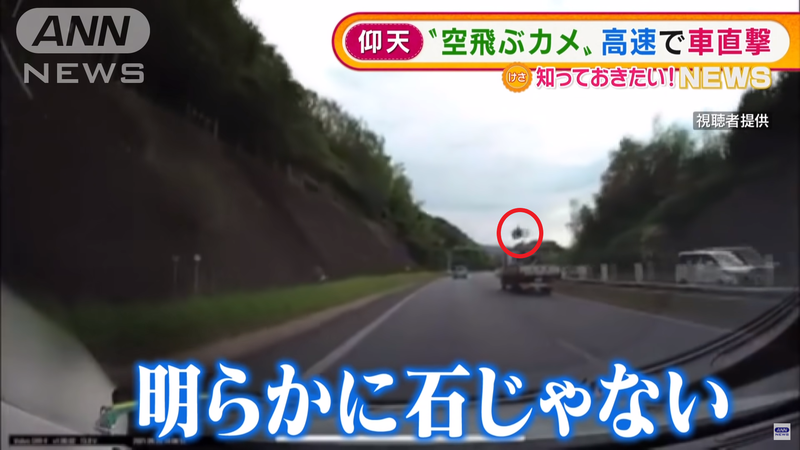 日本一名新手駕駛在上高速公路時，竟然遭遇「天外飛來烏龜」。（翻攝自「ANNnewsCH」YouTube）