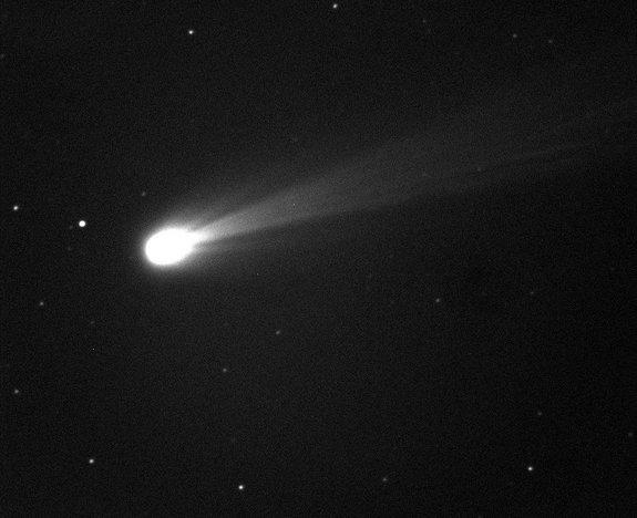 Comet ISON shines brightly in this image taken on the morning of Nov. 19, 2013. This is a 10-second exposure taken with the Marshall Space Flight Center 20" telescope in New Mexico. The camera there is black and white, but the smaller field of