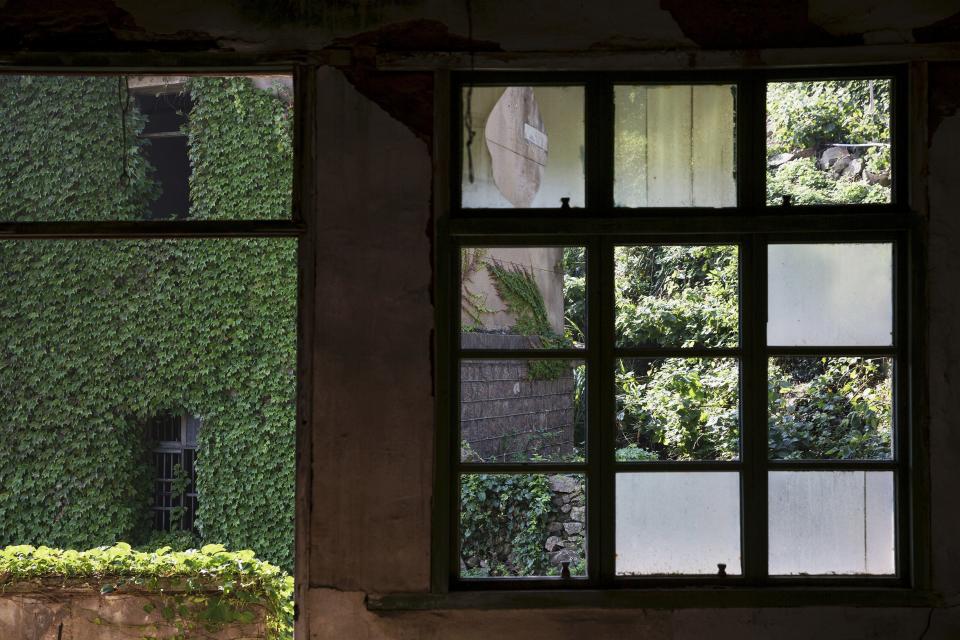 A building which is covered with leaves is seen through broken windows of an empty house at the abandoned fishing village of Houtouwan on the island of Shengshan July 26, 2015. (REUTERS/Damir Sagolj)