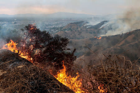 Flames above houses in Sun Valley during the La Tuna Canyon fire over Burbank. REUTERS/ Kyle Grillot