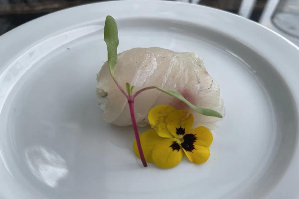 Acuacultura: Rollo de totoaba de cultivo con queso de cabra