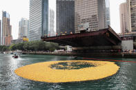 <p>Rubber ducks float down the Chicago River during the start of the Windy City Rubber Ducky Derby on August 3, 2017 in Chicago, Illinois. (Photo: Scott Olson/Getty Images) </p>